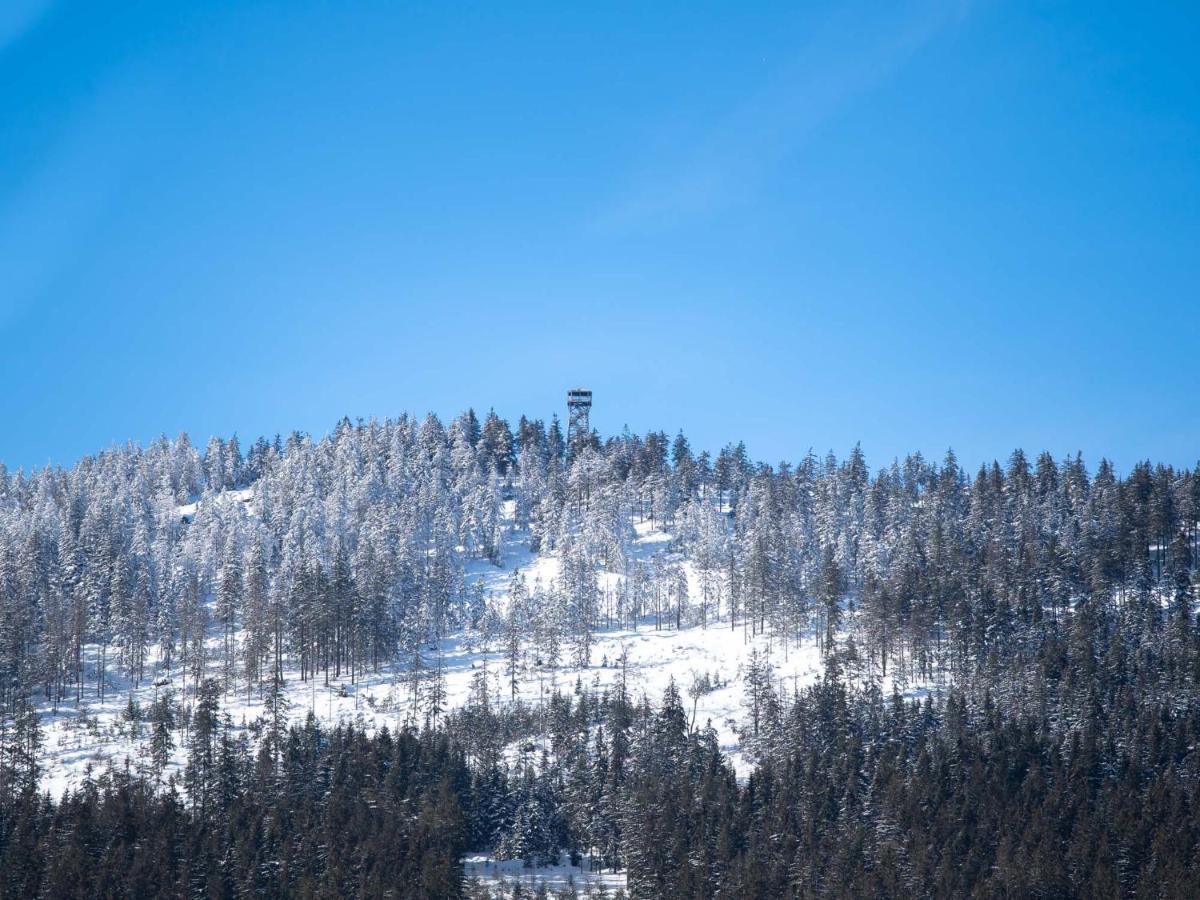 Treehouses Sněžník Dolní Morava Exteriér fotografie