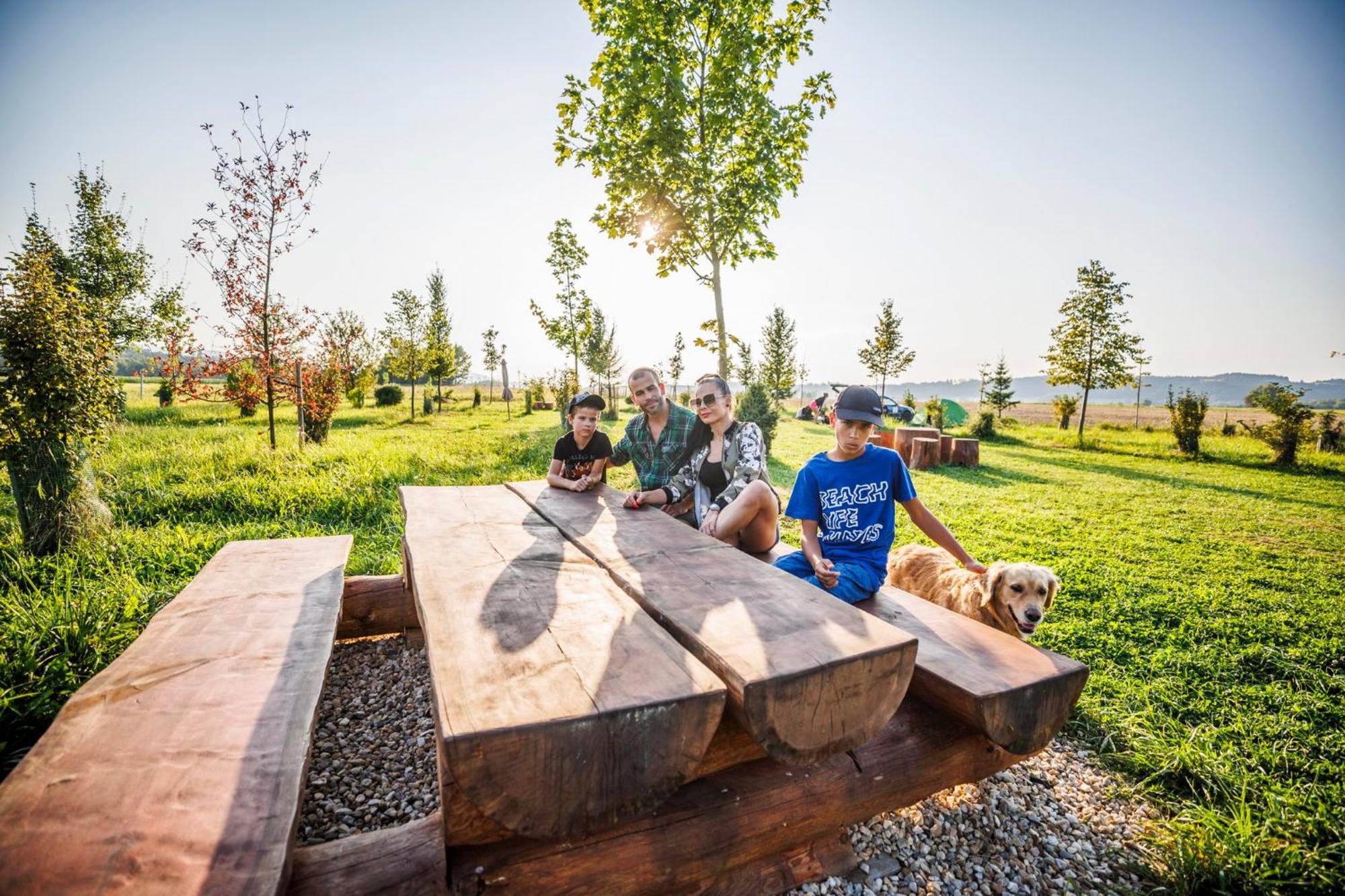 Treehouses Sněžník Dolní Morava Exteriér fotografie